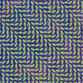 Animal Collective
